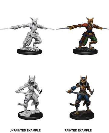 DND UNPAINTED MINIS WV9 FEMALE TABAXI ROGUE