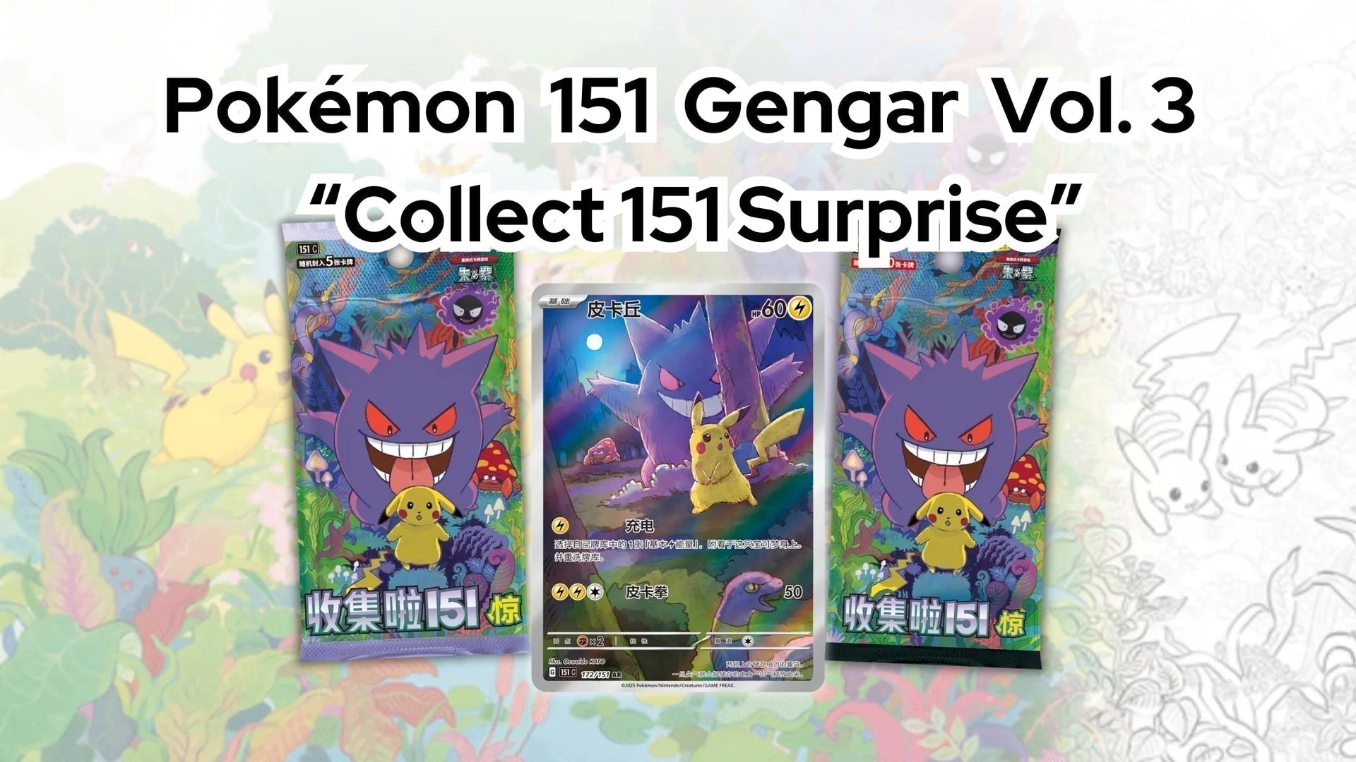 Pokemon Card Game Box (Simplified Chinese)