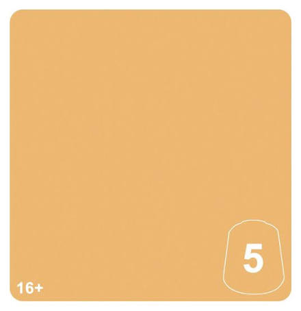 CITADEL; TONE PRO PAINT - PEINTURE TONE PRO (2026-10-24)