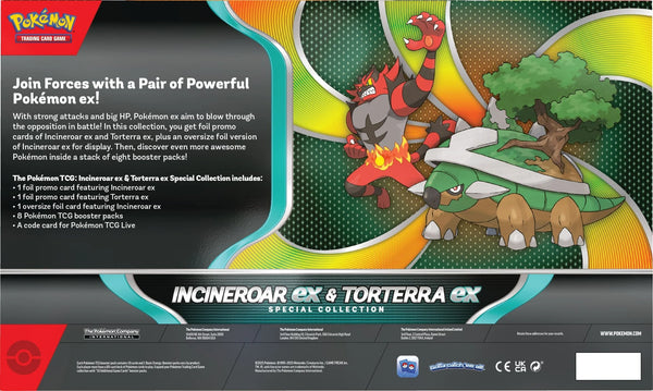 POKEMON INCINEROAR & TORTERRA