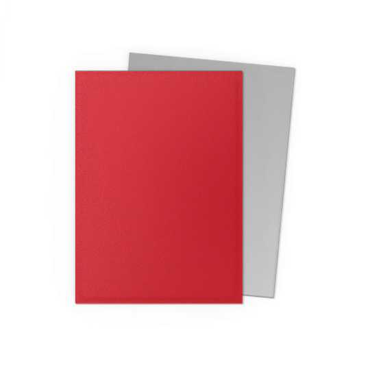 DRAGON SHIELD ~ STANDARD MATTE DUAL SLEEVES (100)