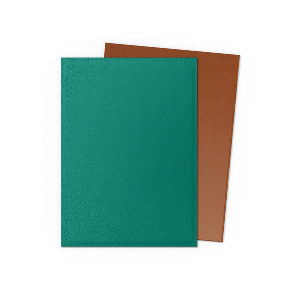 DRAGON SHIELD ~ STANDARD MATTE DUAL SLEEVES (100)