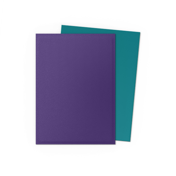 DRAGON SHIELD ~ STANDARD MATTE DUAL SLEEVES (100)