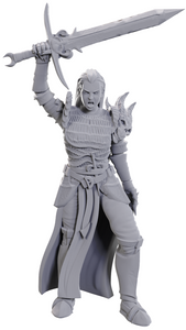 DND UNPAINTED MINIS WV25 BLACKGUARD