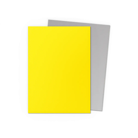 DRAGON SHIELD ~ STANDARD MATTE DUAL SLEEVES (100)
