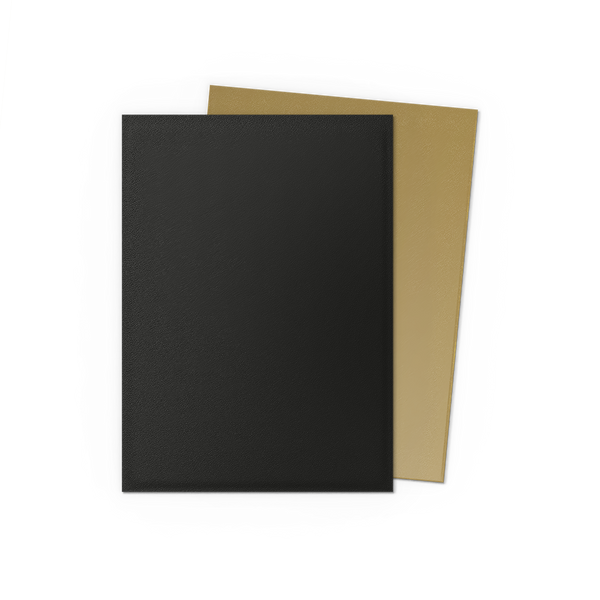DRAGON SHIELD ~ STANDARD MATTE DUAL SLEEVES (100)