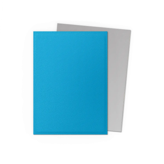 DRAGON SHIELD ~ STANDARD MATTE DUAL SLEEVES (100)