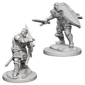 DND UNPAINTED MINIS WV3 MALE HUMAN PALADIN
