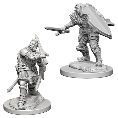 DND UNPAINTED MINIS WV3 MALE HUMAN PALADIN