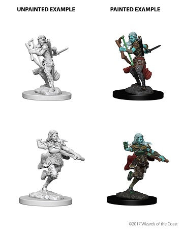 DND UNPAINTED MINIS WV4 AIR GENASI FEMALE ROGUE