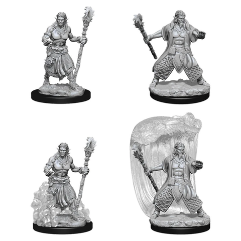 DND UNPAINTED MINIS WV5 WATER GENASI MALE DRUID