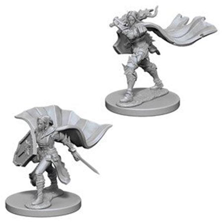 PF UNPAINTED MINIS WV4 ELF FEMALE PALADIN