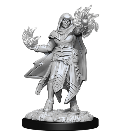 DND UNPAINTED MINIS WV15 HOBGOBLIN MALE AND FEMALE