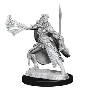DND UNPAINTED MINIS WV15 WINTER AND SPRING ELADRIN
