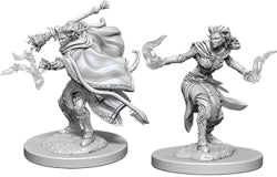 DND UNPAINTED MINIS WV6 FEMALE TIEFLING WARLOCK