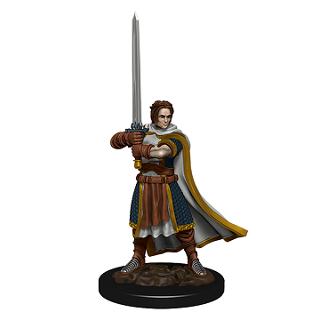 DND ICONS O/T REALMS HUMAN CLERIC MALE PREM FIG