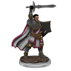 DND ICONS O/T REALMS MALE HUMAN PALADIN PREM FIG