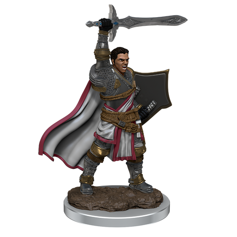 DND ICONS O/T REALMS MALE HUMAN PALADIN PREM FIG