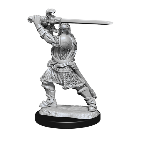 DND UNPAINTED MINIS WV14 HUMAN PALADIN MALE
