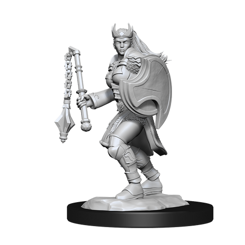 DND UNPAINTED MINIS WV14 KALASHTAR CLERIC FEMALE