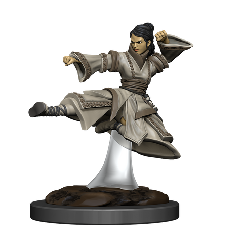 DND ICONS O/T REALMS HUMAN MONK FEMALE PREM FIG
