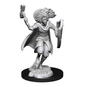 DND UNPAINTED MINIS WV14 CHANGELING CLERIC