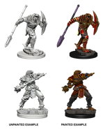 DND UNPAINTED MINIS WV5 DRAGONBORN MALE FIGHTER