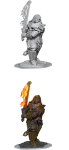 DND UNPAINTED MINIS WV18 FIRE GIANT