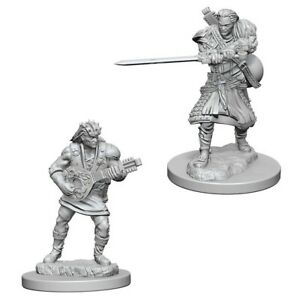DND UNPAINTED MINIS WV4 MALE HUMAN BARD